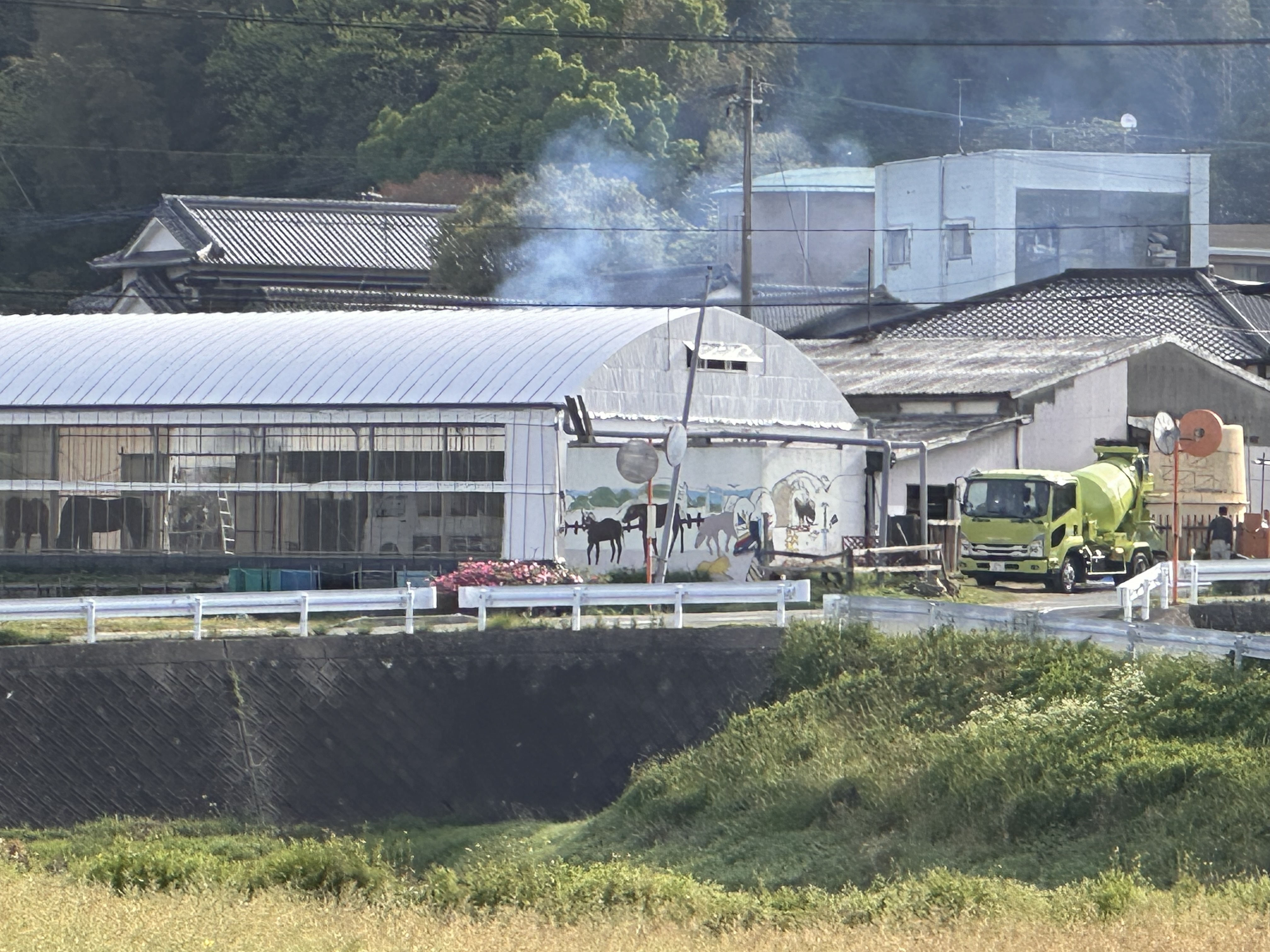 画像1